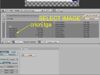 cricri_Mat10.jpg(28300 byte)