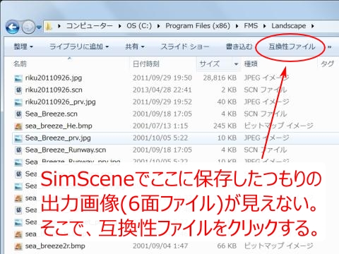 SimScene2.jpg(113166 byte)