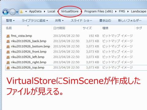 SimScene3.jpg(82132 byte)